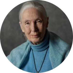Speaker Profile Thumbnail for Dr. Jane Goodall